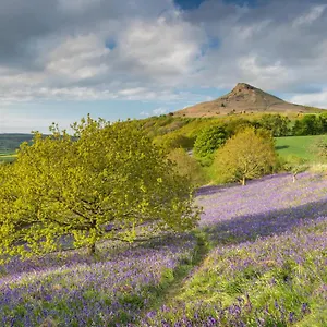  Holiday home Luxury Nestled In The Heart Of - Pet Friendly United Kingdom